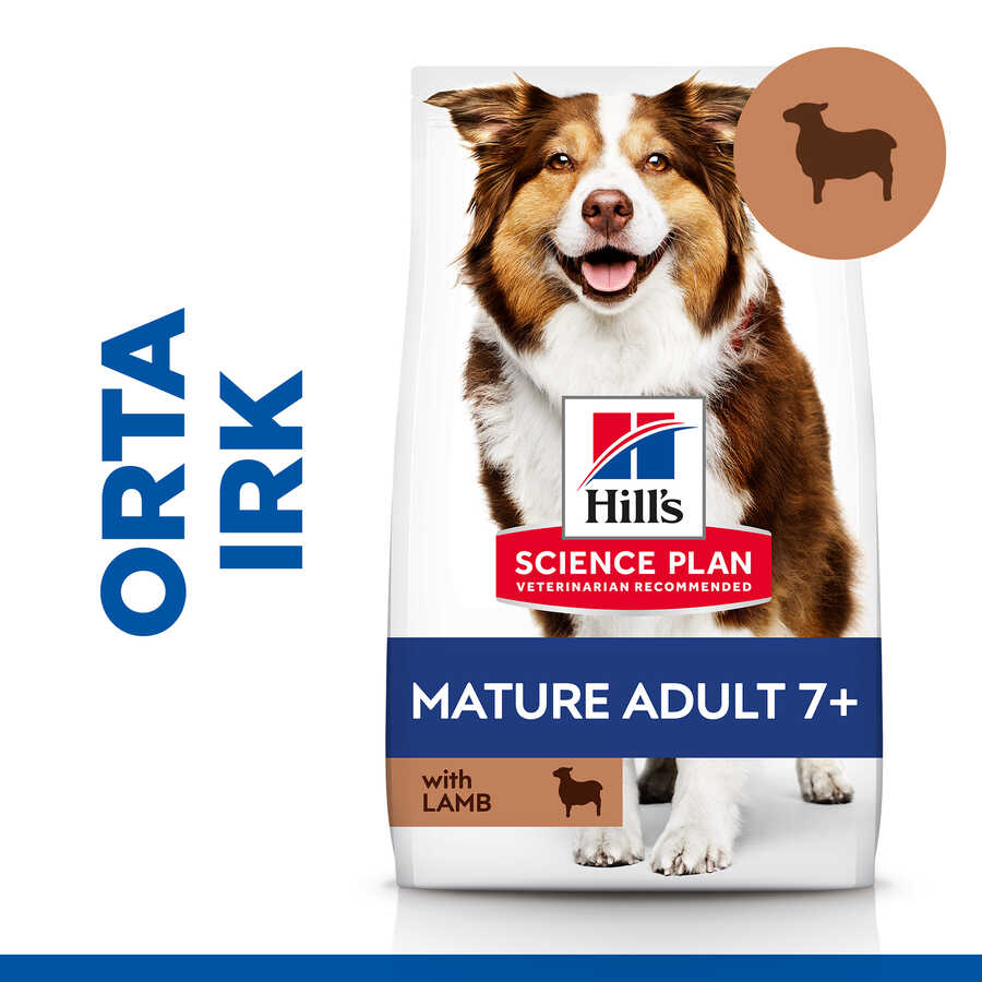 Hills Mature Senior +7 Medium Orta Irk Kuzu Etli Yaşlı Köpek Maması 2,5 Kg - Thumbnail