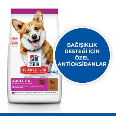 Hills Small Mini Küçük Irk Kuzulu Yetişkin Köpek Maması 1,5 Kg - Thumbnail