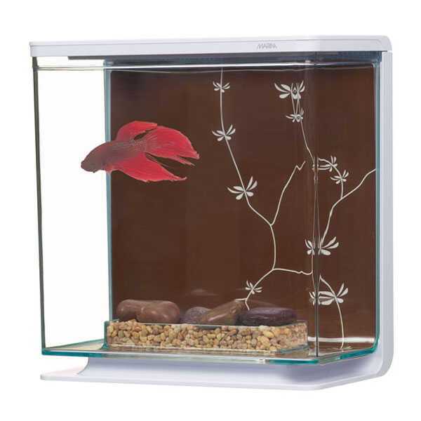 Marina Contemporary Betta Seti 3 Lt