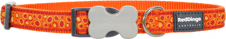 Red Dingo Bedrock Desenli Turuncu Köpek Boyun Tasması 12mm