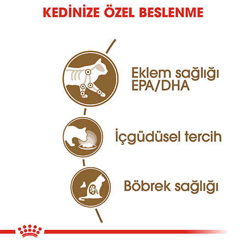 Royal Canin Ageing +12 Yaşlı Gravy Kedi Konservesi 12x85 Gr - Thumbnail