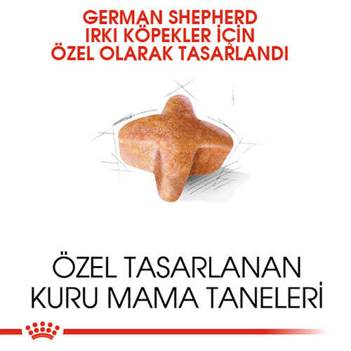 Royal Canin Alman Çoban Köpeği Yetişkin Köpek Mamaı 11kg - Thumbnail