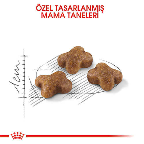 Royal Canin Kitten Yavru Kedi Maması 10 Kg - Thumbnail