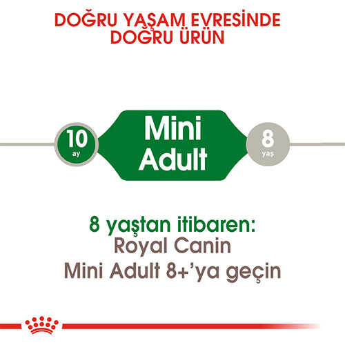 Royal Canin Mini Adult Küçük Irk Yetişkin Köpek Maması 2 Kg - Thumbnail