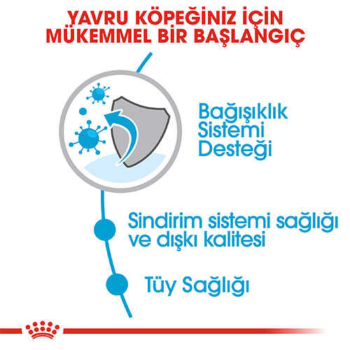 Royal Canin Mini İndoor Puppy Yavru Köpek Maması 1,5 Kg - Thumbnail