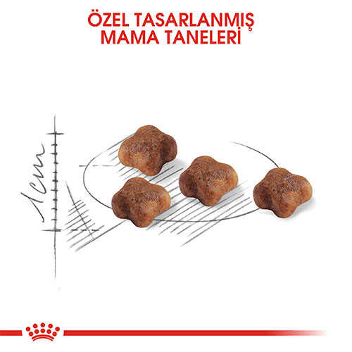 Royal Canin Mother & Babycat Anne ve Yavru Kedi Maması 400 Gr - Thumbnail